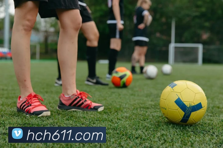 九游体育APP 高清赛事图